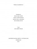 Por medio del presente trabajo se desarrollan las temáticas de la unidad 1 del curso de PROBABILIDAD por medio del estudio de distintos casos en donde se aplican los conocimientos adquiridos en dicha unidad identificando cada una de las problemáticas y