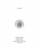 Con la realización del censo nacional agropecuario y la posterior demostración de resultados