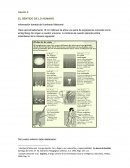 Los homínidos, especie que antecede a las especies humanas, evolucionan por un período entre 5 y 7 millones de años.