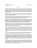 La historia inicia en una colonia de hormigas, en las primeras escenas observamos que desde el nacimiento las hormigas empiezan a ser clasificadas de acuerdo a sus características en trabajadoras o soldados