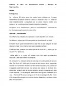 Imitacion articulo en ingles traducido