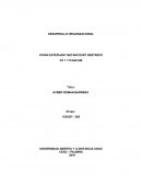 ESARROLLO ORGANIZACIONAL