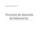 Procesos de Atención de Enfermería. Caso recién nacida