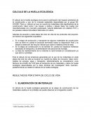 CÁLCULO DE LA HUELLA ECOLÓGICA