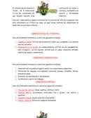 Boletines descriptivo por dimensiones.