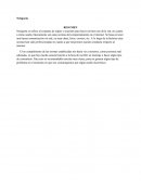 INVESTIGACIÓN- NETIQUETA.