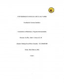 Filosofos socraticos y Presocraticos