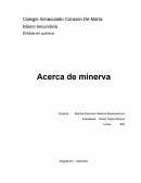 LOS PRIMEROS PASOS DEL INVESTIGADOR CIENTÍFICO