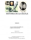 HISTORIA DE LA CÉLULA ENSAYO