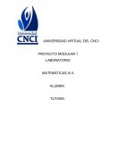 ¿Cómo presentarás tu proyecto?