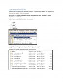 Control de Sincronización.