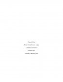 La microempresa es un trabajo en conjunto con mi grupo familiar, la que tiene como inversión de inicio, años de esfuerzos tanto monetario como estructural.
