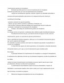 Elementos que debe tener un vector de transformación de cloroplastos:.