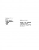 LOS NIVELES DENTRO DE LA ESTRUCTURA LINGÜÍSTICO-DISCURSIVA.