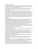 Evolución de la Producción