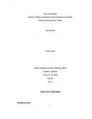 Fase de Análisis. Informe análisis de pertenencia de técnicas proyectivas