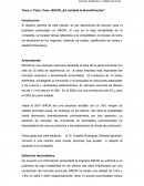 Tema o Título: Caso: BIKOR ¿Es rentable la diversificación?