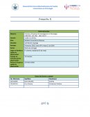 Considero sumamente importante resaltar como el ambiente tiene distintas repercusiones en el comportamiento de las personas.
