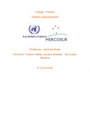 Trabajo Práctico Gestión organizacional