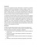 Desarrollo Piagetiano