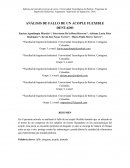 ANÁLISIS DE FALLO DE UN ACOPLE FLEXIBLE DENTADO