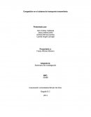 Congestión en el sistema de transporte transmilenio