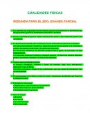 Los músculos son responsables del movimiento corporal al transformar en movimiento una energía química, gracias al metabolismo anaeróbico o aeróbico.