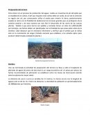 Para ini.ciar con el proceso de producción del agave realiza un muestreo de pH del ejido que se establecerá el cultivo, el pH que requiere este cultivo debe ser acido,