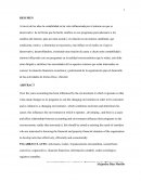 EVOLUCION DE LA CONTABILIDAD EN AGENTES EXTERNOS