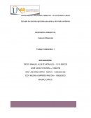 Analisis de progresiones y sucesiones
