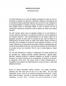 SERVICIO DE POLICÍA INTRODUCCION