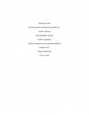 Reconocimiento de elementos de protección