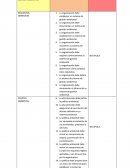 La organización debe establecer un sistema de gestión ambiental.