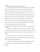 Actividad 1: Analizar cómo evoluciona el diseño organizativo de Printonix