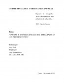 CAUSAS Y CONSECUENCIAS DEL EMBARAZO EN LOS ADOLESCENTES