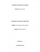 MATRIMONIO DE PAREJAS DEL MISMO SEXO