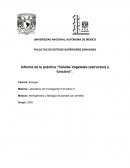 Celulas vegetales (estructura y función).