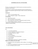 AUDITORIA DE LOS ACTIVOS FIJOS.