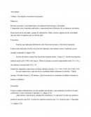 Actividades con números racionales