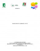 PROGRAMA CIENCIAS DE LAINFORMACION, BIBLIOTECOLOGIA Y ARCHIVISTICA.