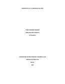 DIAGNOSTICO DE LA COMUNIDAD DEL POZO