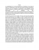 Ensayo Infraestructura