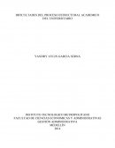 DIFICULTADES DEL PROCESO ESTRUCTURAL ACADEMICO DEL UNIVERSITARIO