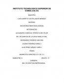 Abarrotes Sánchez S.A. de C.V.