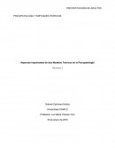 Aspectos Importantes de dos Modelos Teóricos en la Psicopatología.