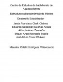 Desarrollo Estabilizador.