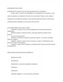 DESRIPCION DE CARGO: JEFE DE DEPARTAMENTO DE AUDITORIA.