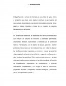 Informe final de farmacia