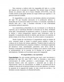Las Vanguardias del Siglo XX.