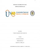 Trabajo colaborativo estadística.